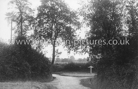 Country Lane, Sign showing Toppesfield left and Bardfield right, Finchingfield, Essex. c.1915